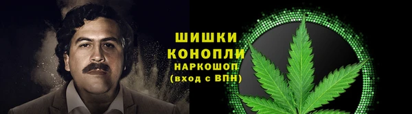 прущая мука Беломорск
