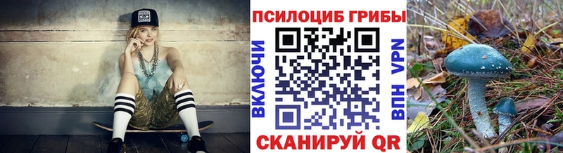 Псилоцибиновые грибы Magic Shrooms  OMG зеркало  Отрадная 